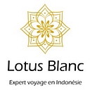LOTUS BLANC